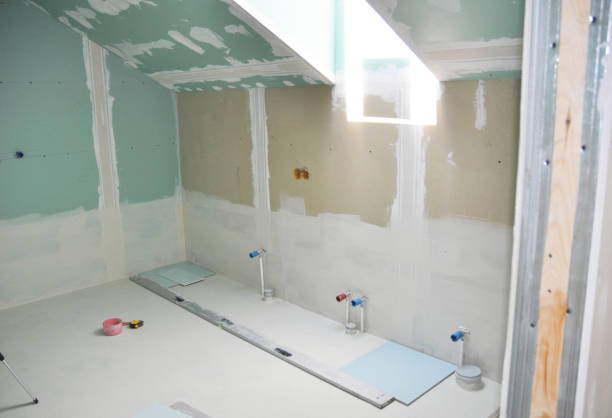 Best Black Mold Removal  in Shreve, OH