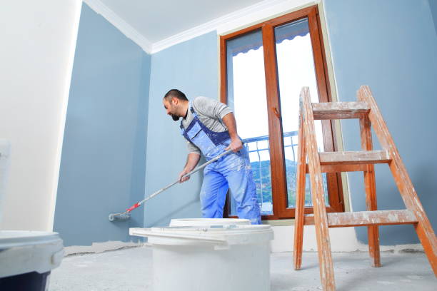 Best Forensic Mold Investigation  in Shreve, OH