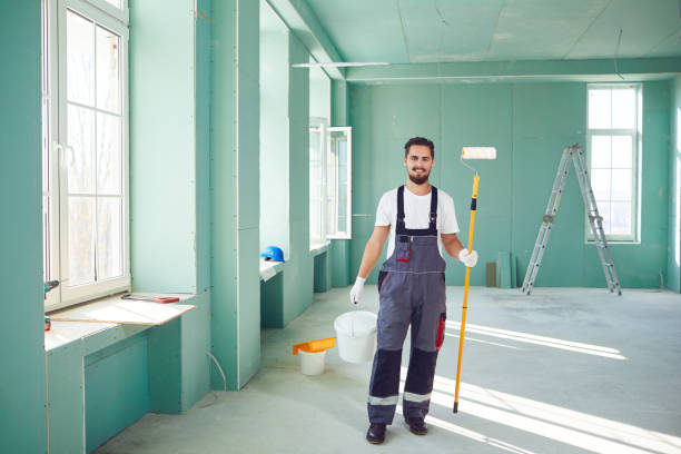 Best Basement Mold Removal  in Shreve, OH