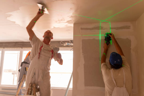 Reliable Shreve, OH Mold Removal Solutions