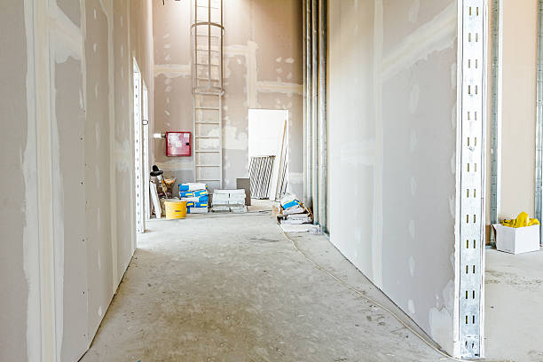 Best Air Quality Testing for Mold Spores  in Shreve, OH