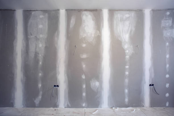 Best Mold Documentation for Insurance Claims  in Shreve, OH